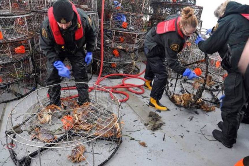 Feds, Coast Guard seize over 200 illegal crab traps near Delta